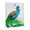 Stupell Industries Aphrodite Peacock Portrait Canvas, design by Marc Allante
